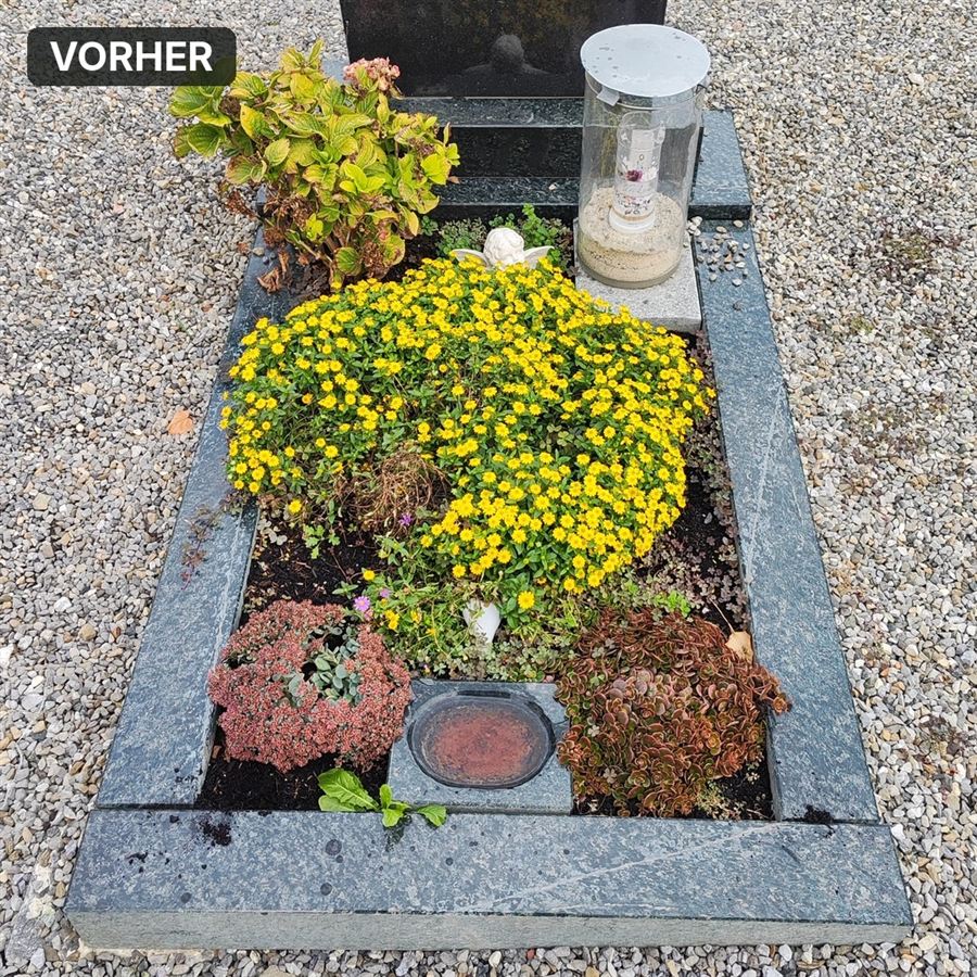 Dasselbe Grab vor der Pflege: Unkraut, Verwelktes und schmutzige Einfassung